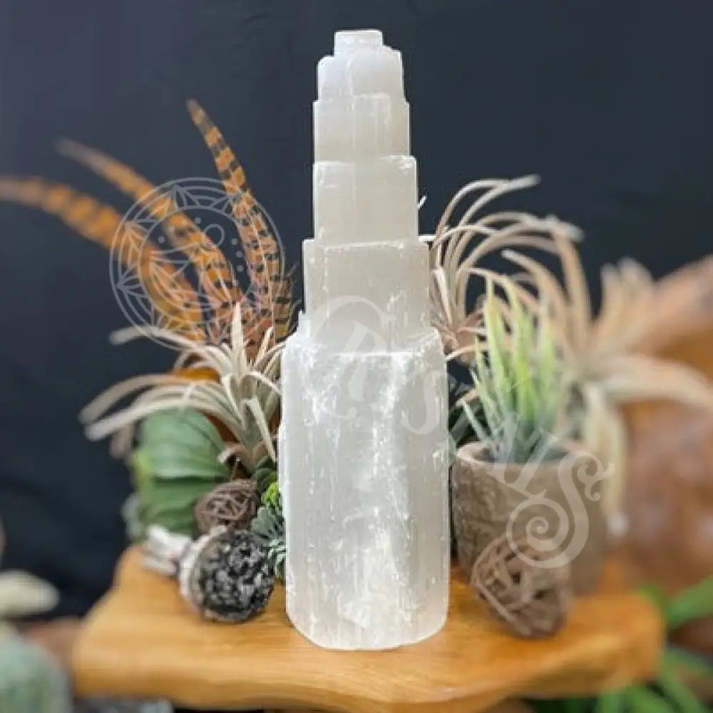 Tower Point Obelisk - Selenite 10 Crystals