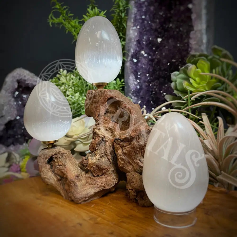 Egg - Selenite 2.3 Crystals Eggs