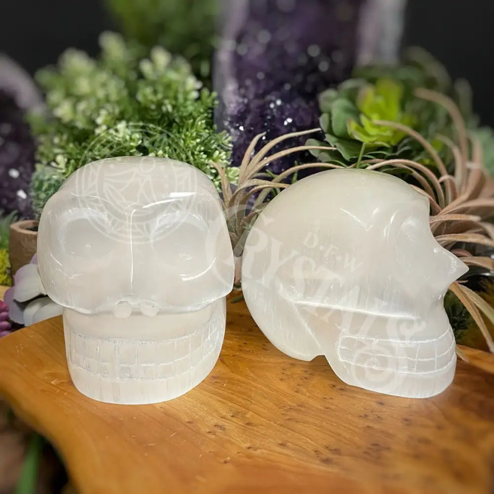 Skull - Selenite 3.9 Crystals Skulls