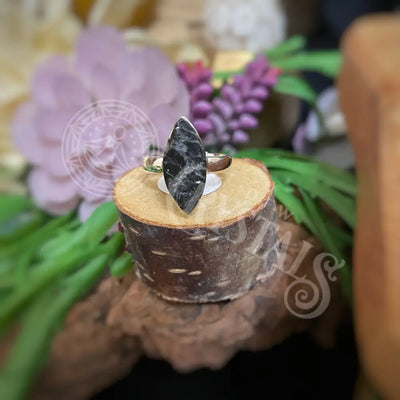 Ring - Shungite Multiple Sizes B7 Jewelry