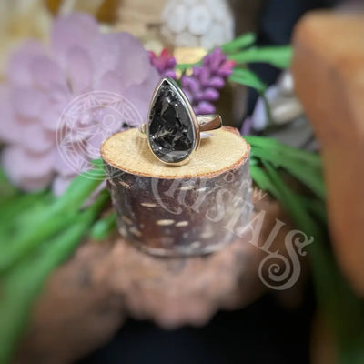 Ring - Shungite Multiple Sizes C7 Jewelry