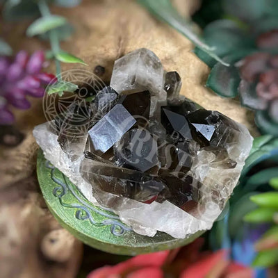 Smoky Quartz Clusters - 2.0’ To 3.3’ Multi Choice F X 2.6’ 1.1’ Crystals Specimens