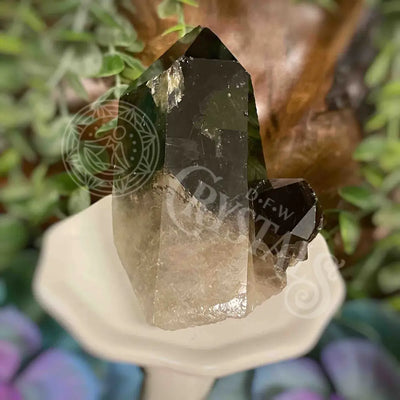 Tower Point Obelisk - Smoky Quartz Large Points Multi Choice A 3.2 ’ X 1.6 2.2 Crystals