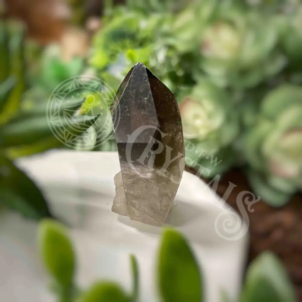 Tower Point Obelisk - Smoky Quartz Natural Points Set 2 1.1 1.75’ Q 1.5’ Crystals