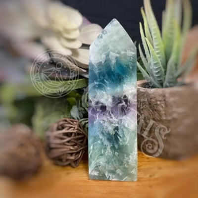 Tower Point Obelisk - Snowflake Fluorite Multi Size 4.0 4.5 Crystals