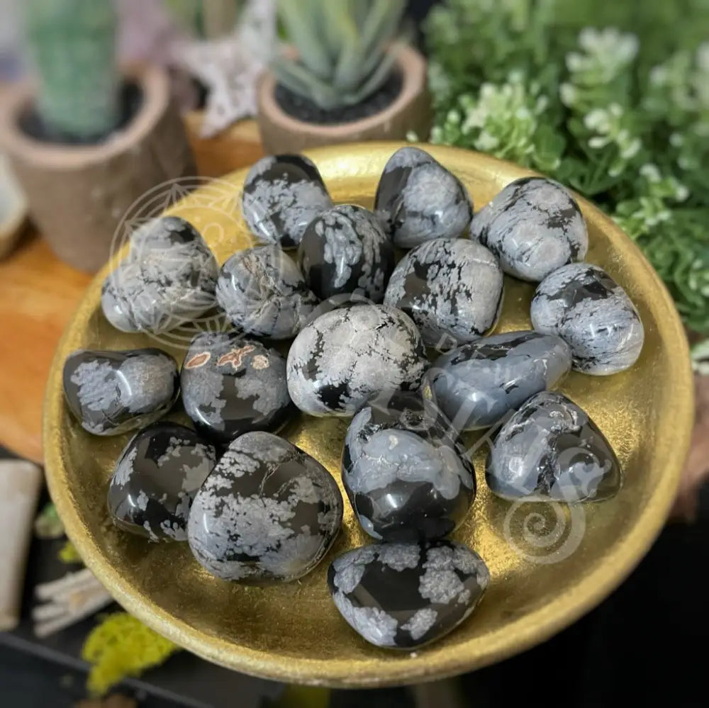 Tumbled - Snowflake Obsidian Multi Sizes 1.0 1.75 Crystals