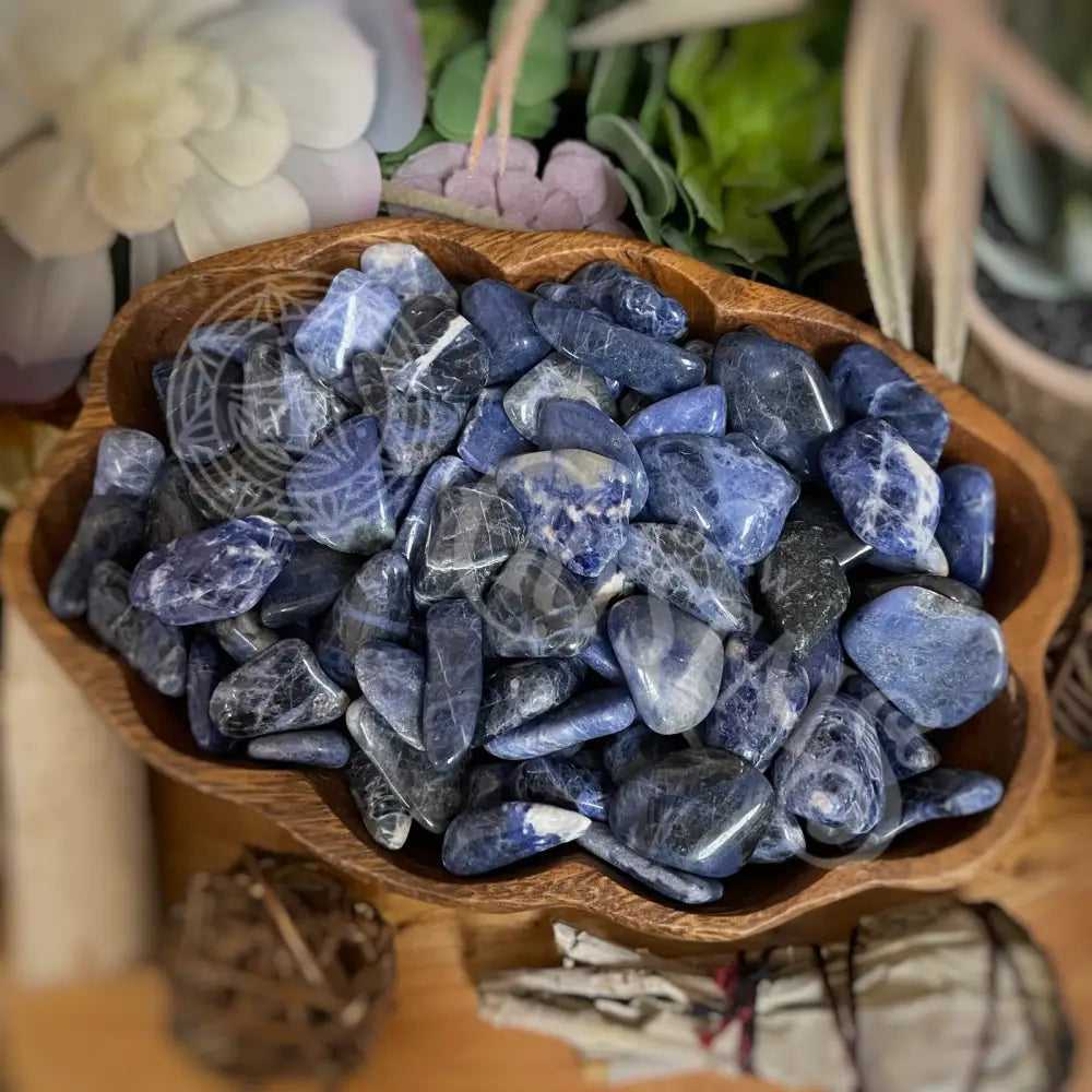 Tumbled - Sodalite 0.5 1.25 Crystals