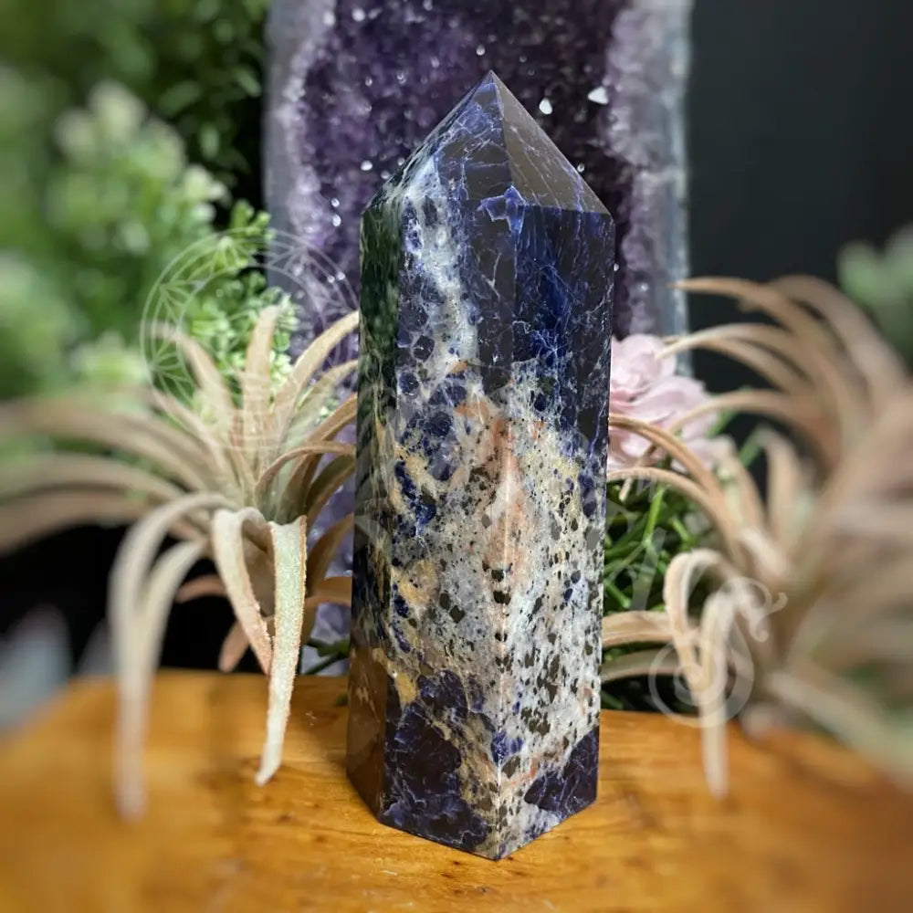 Tower Point Obelisk - Sodalite 6.0 7.9 A Crystals