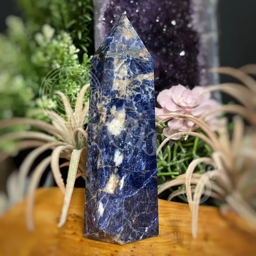 Tower Point Obelisk - Sodalite 6.0 7.9 B 6.2 Crystals