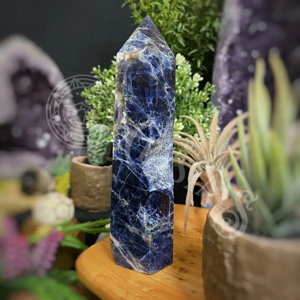 Tower Point Obelisk - Sodalite 6.0 7.9 D 6.8 Crystals