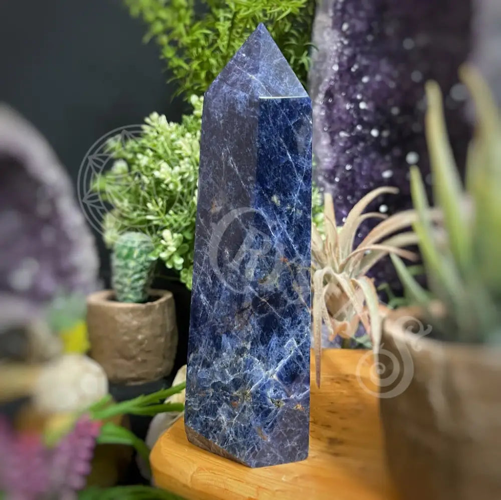 Tower Point Obelisk - Sodalite 6.0 7.9 E 6.8 Crystals