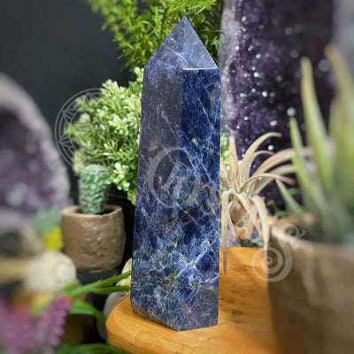 Tower Point Obelisk - Sodalite 6.0 7.9 E 6.8 Crystals