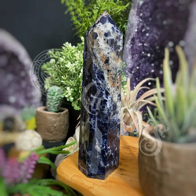 Tower Point Obelisk - Sodalite 6.0 7.9 G 7.2 Crystals