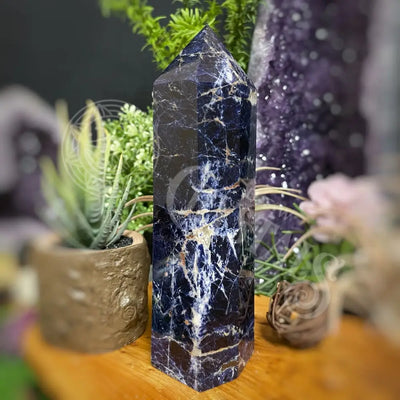 Tower Point Obelisk - Sodalite 6.0 7.9 I 7.4 Crystals