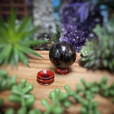 Wooden Sphere Holder - Multi Choice