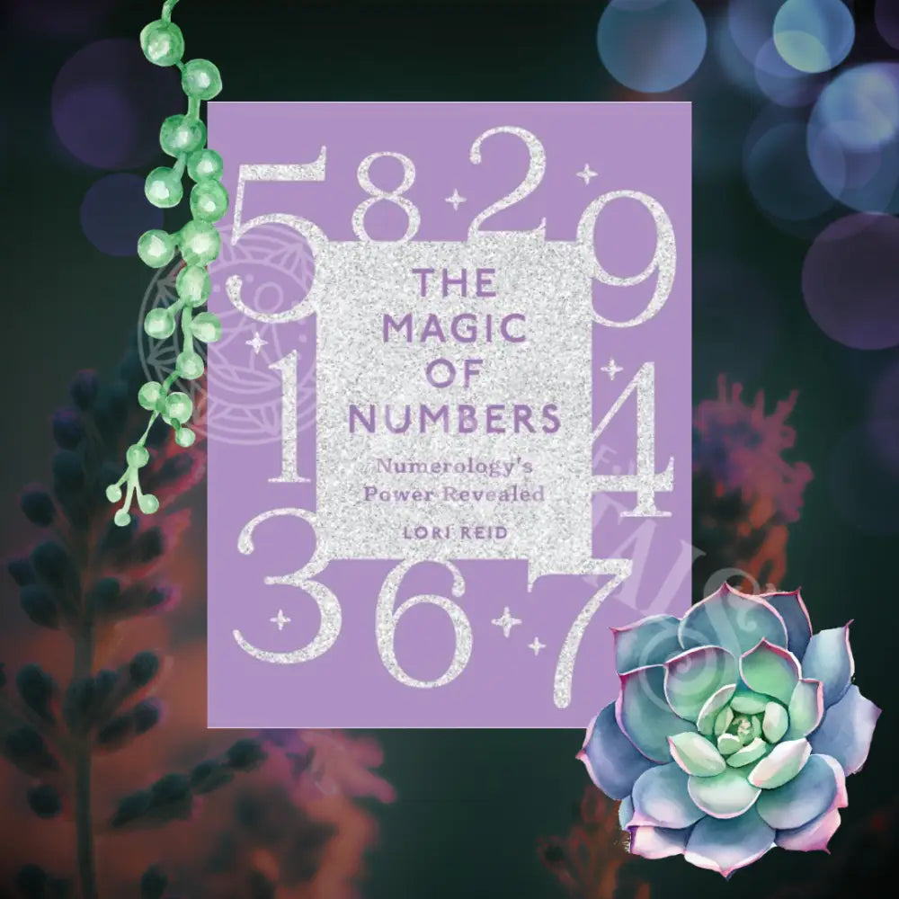 The Magic Of Numbers By Lori Reid Books -