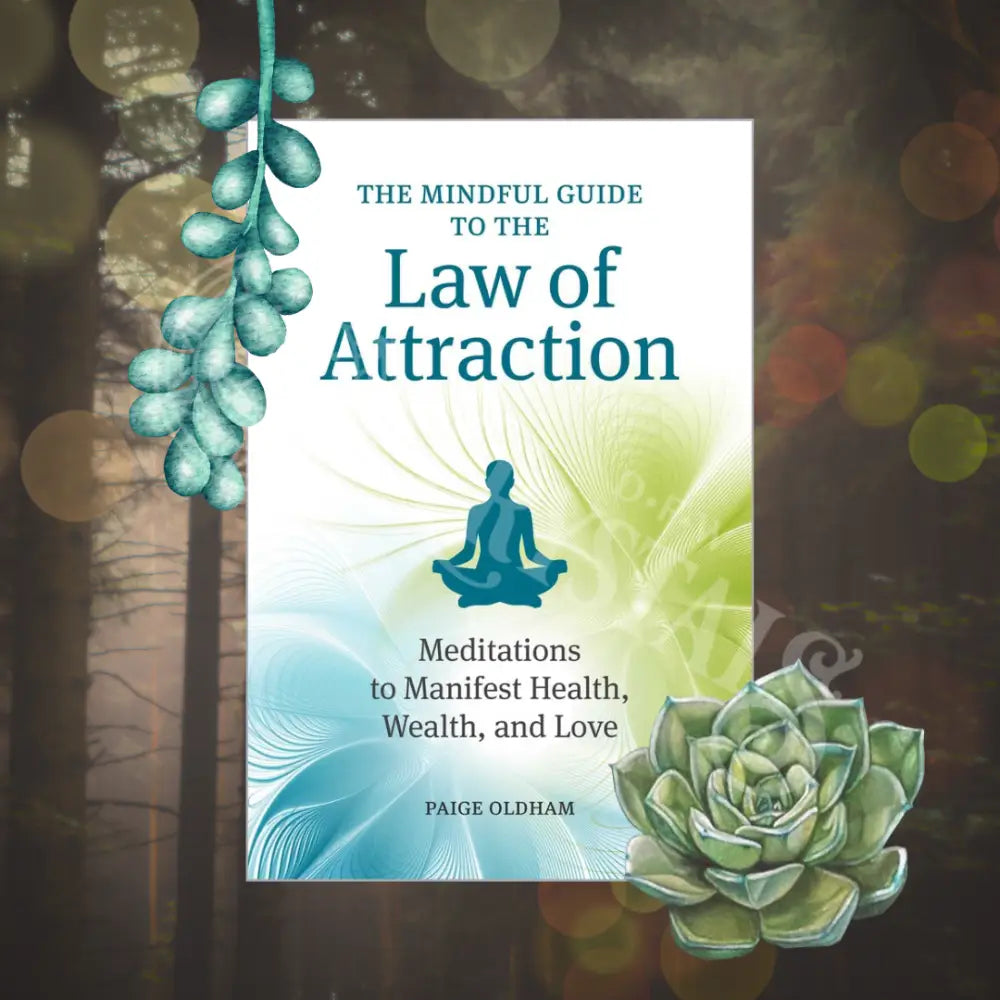 The Mindful Guide To Law Of Attraction By Paige Oldham Books -