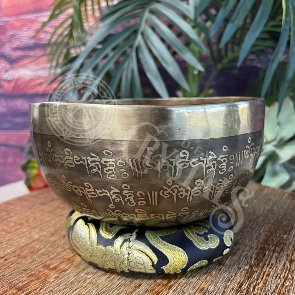 Tibetan Antique Singing Bowl - 6.0