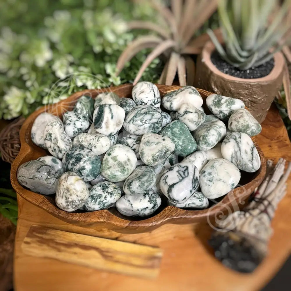 Tumbled - Tree Agate 0.5 1.25 Crystals Tower