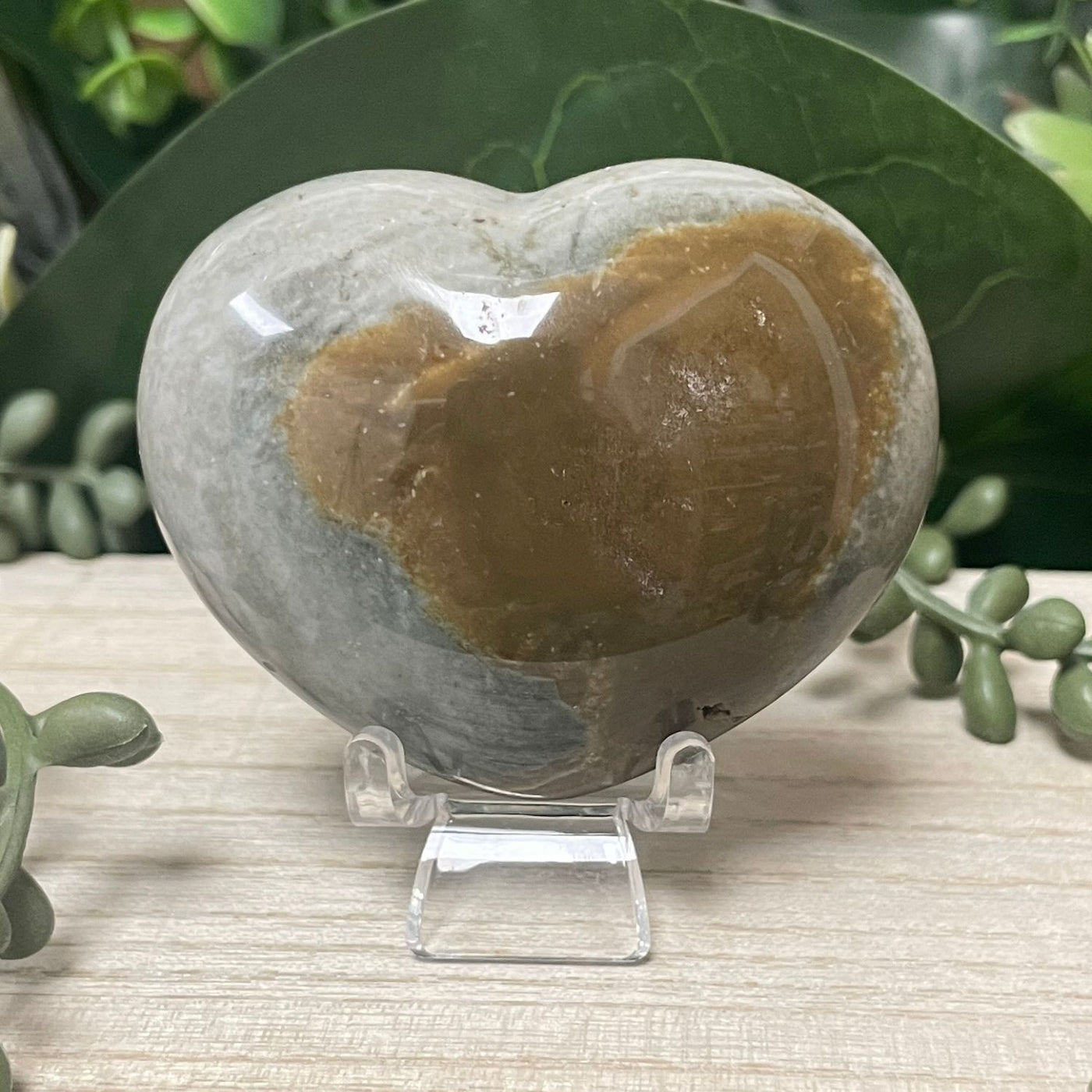 Pollychrome Jasper - Heart