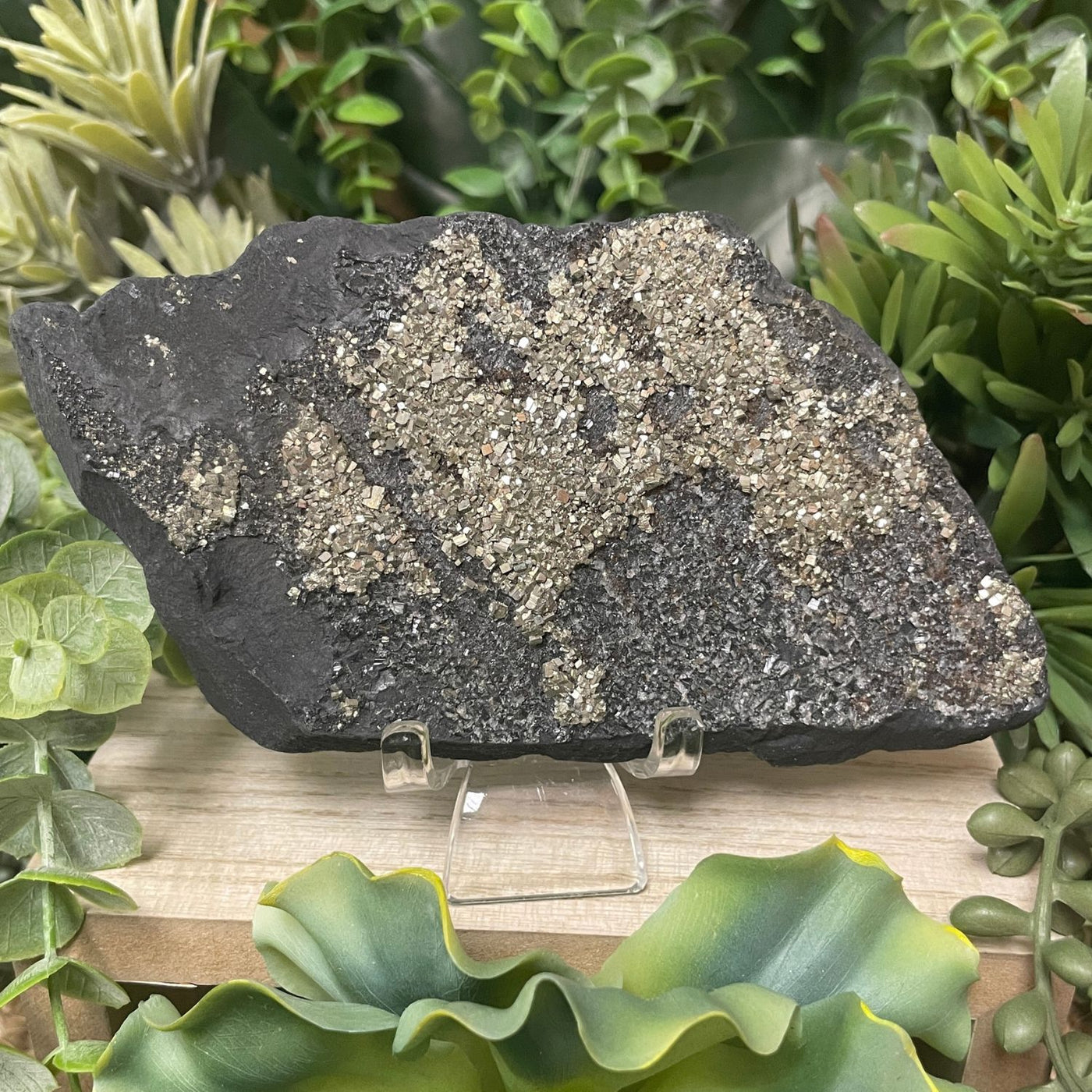 Pyrite on Shungite - Freeform
