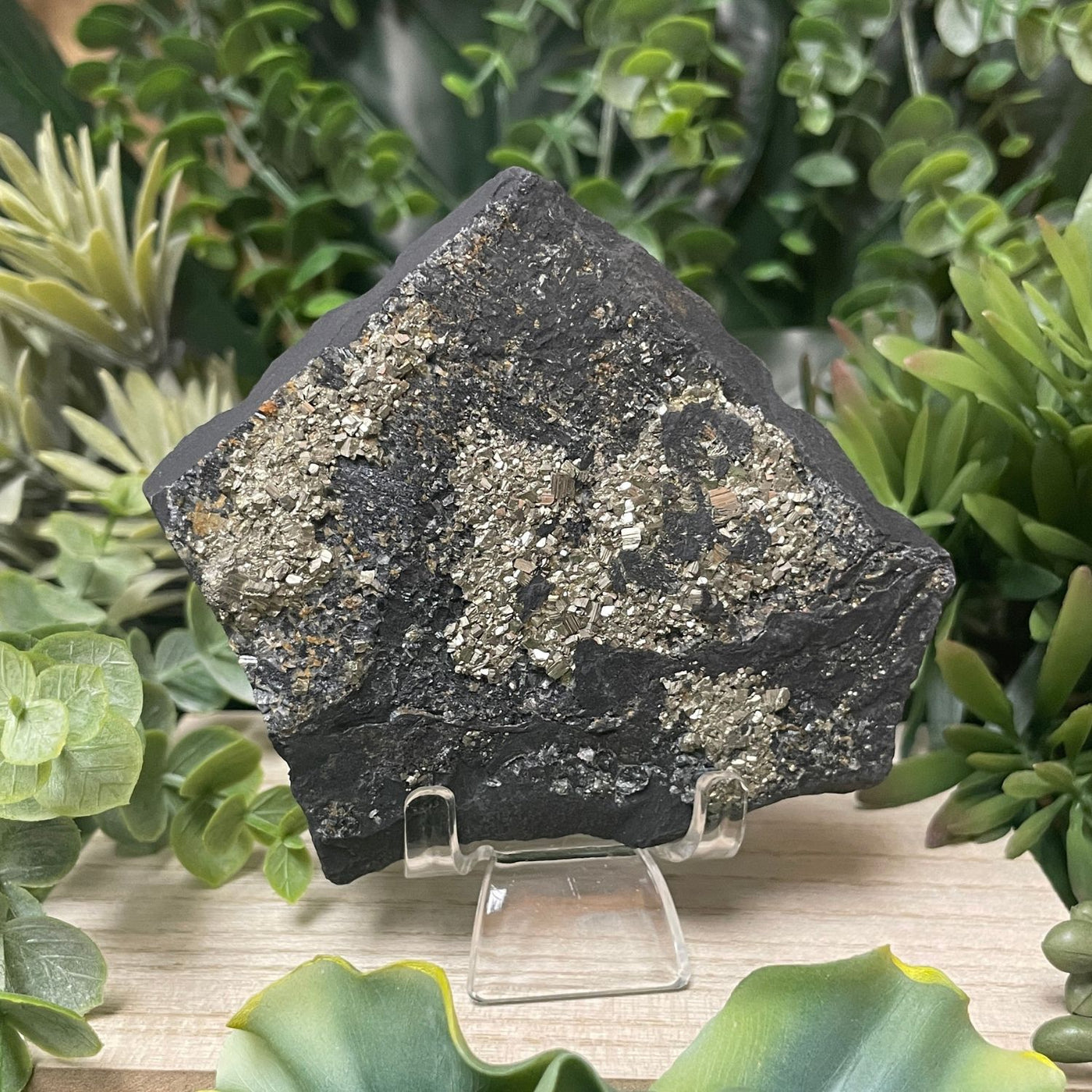 Pyrite on Shungite - Freeform