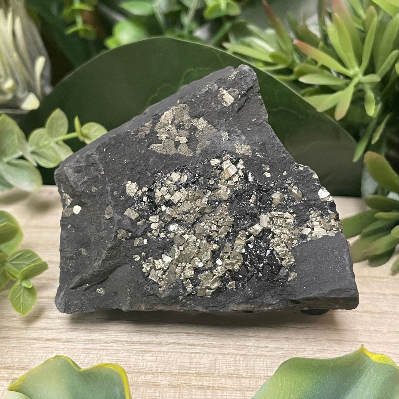 Pyrite on Shungite - Freeform