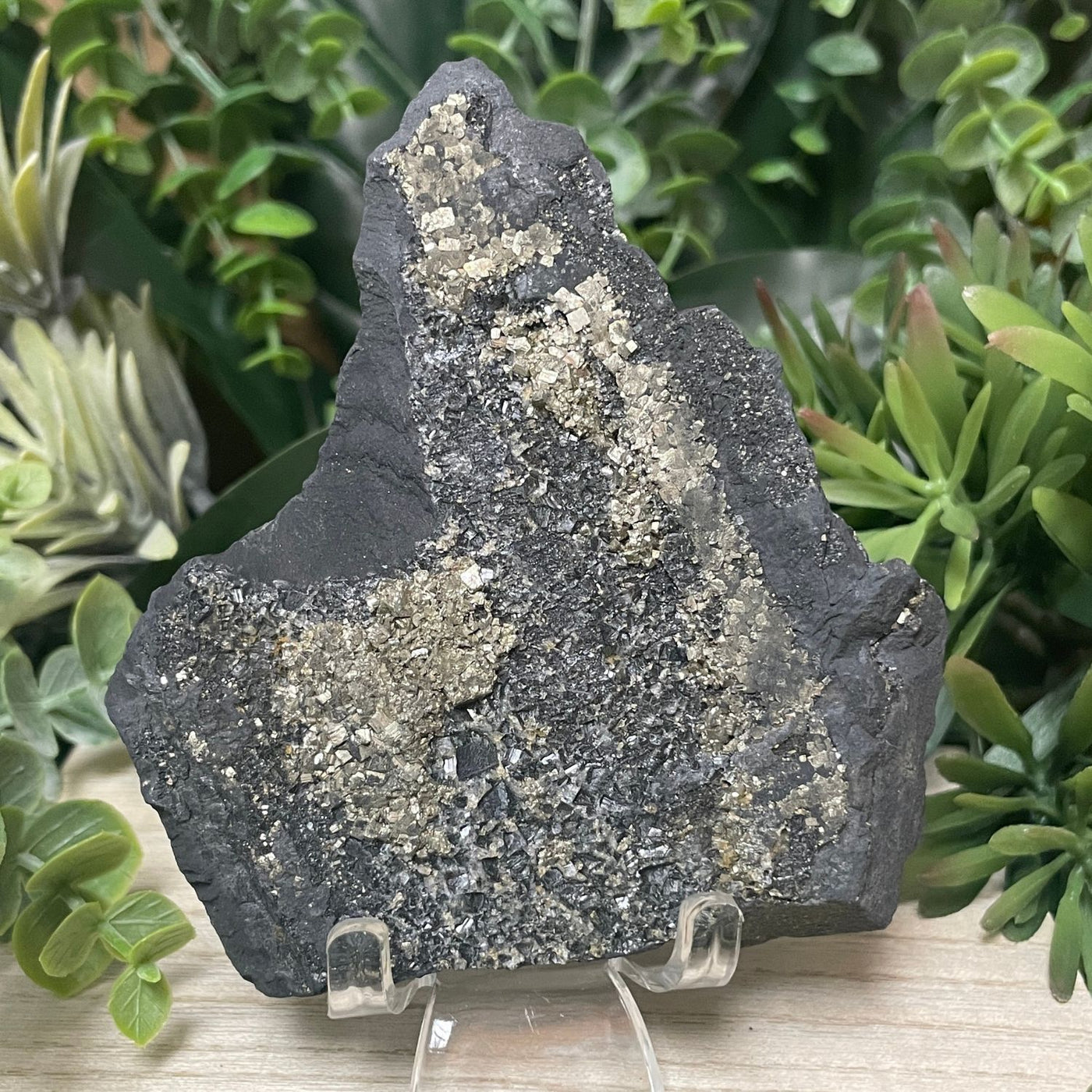 Pyrite on Shungite - Freeform