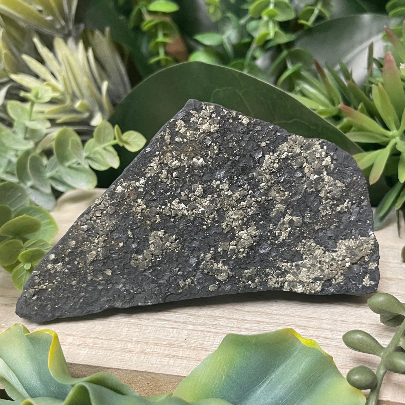 Pyrite on Shungite - Freeform