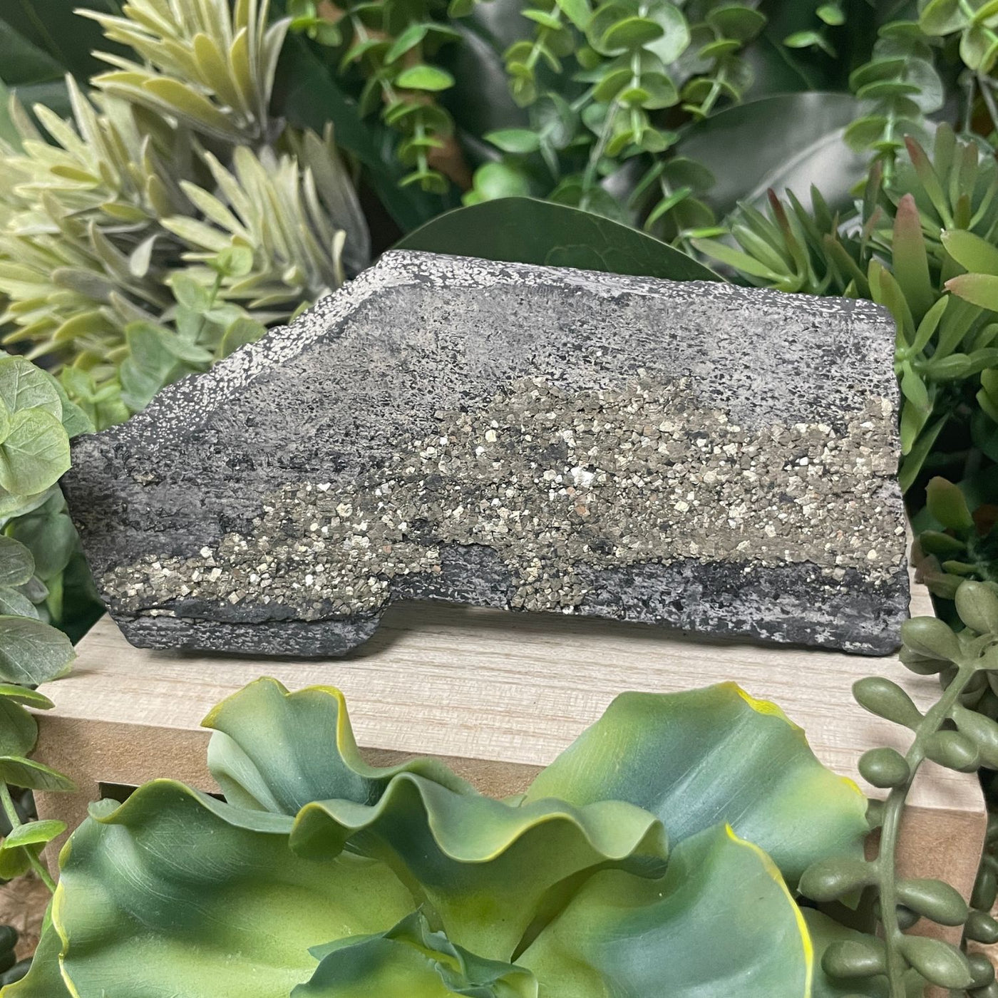 Pyrite on Shungite - Freeform