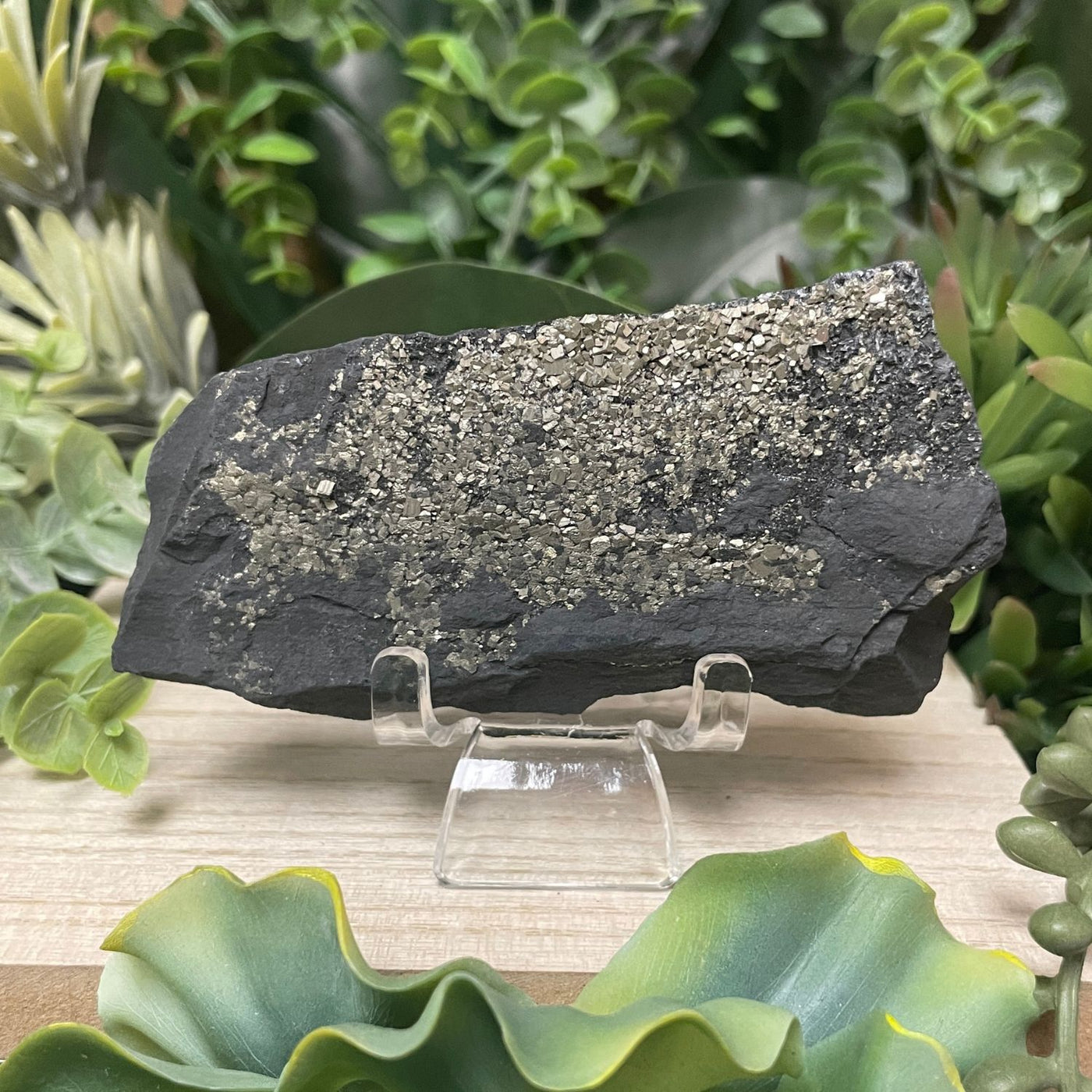 Pyrite on Shungite - Freeform