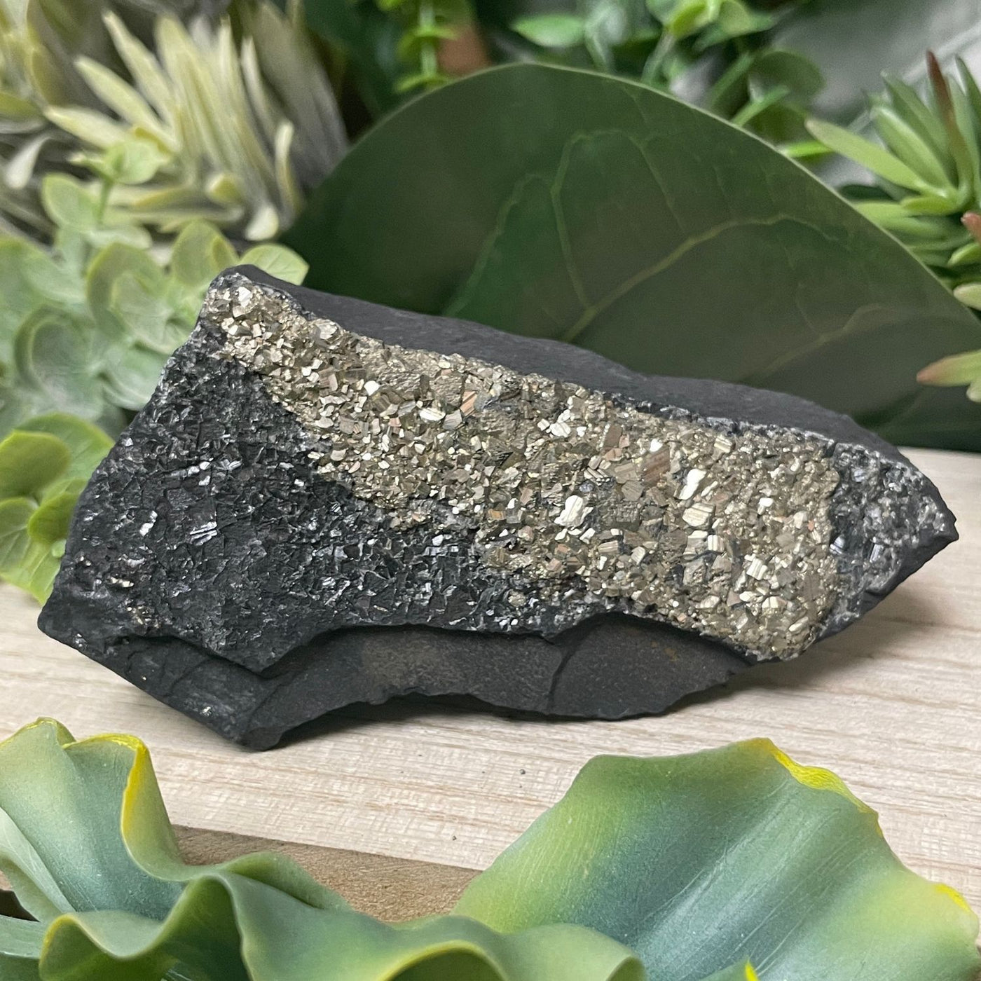 Pyrite on Shungite - Freeform