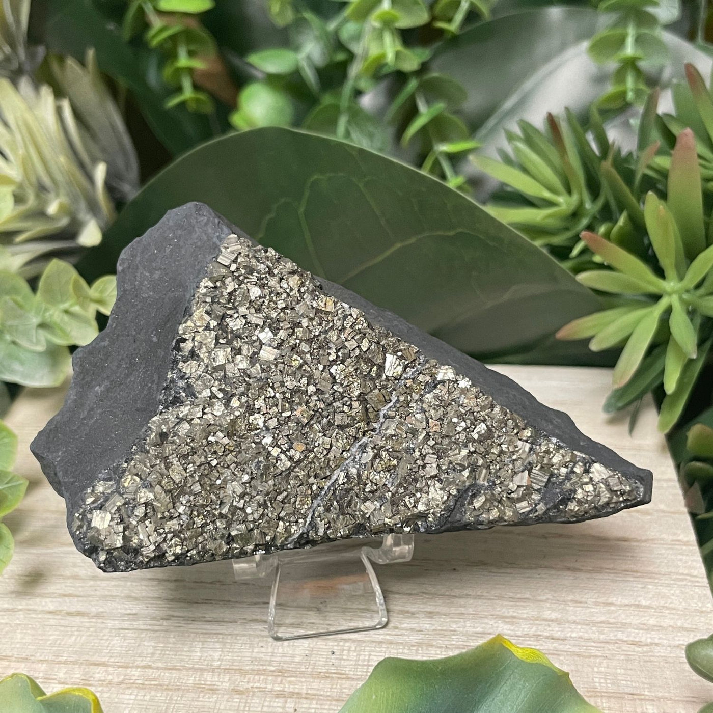 Pyrite on Shungite - Freeform
