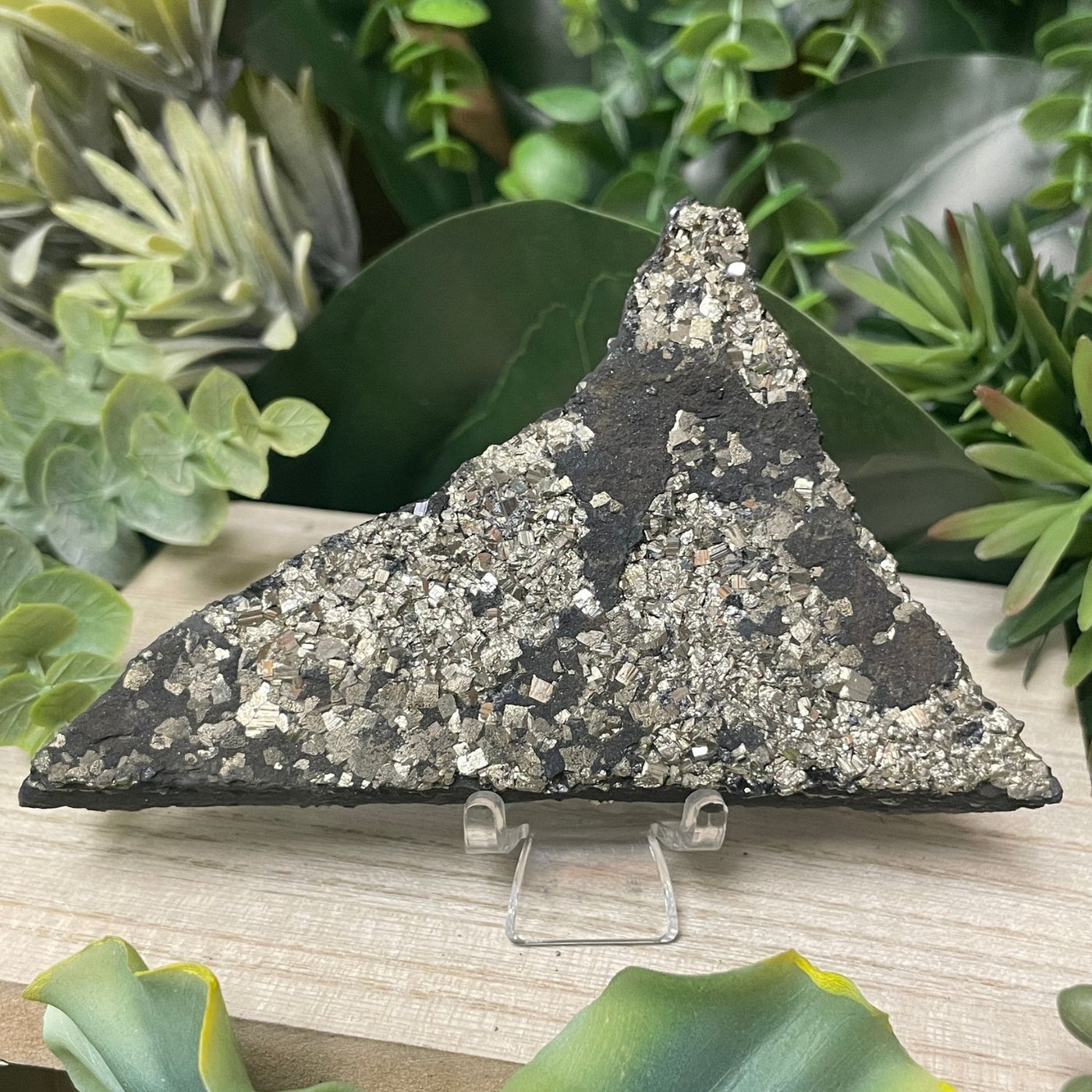 Pyrite on Shungite - Freeform