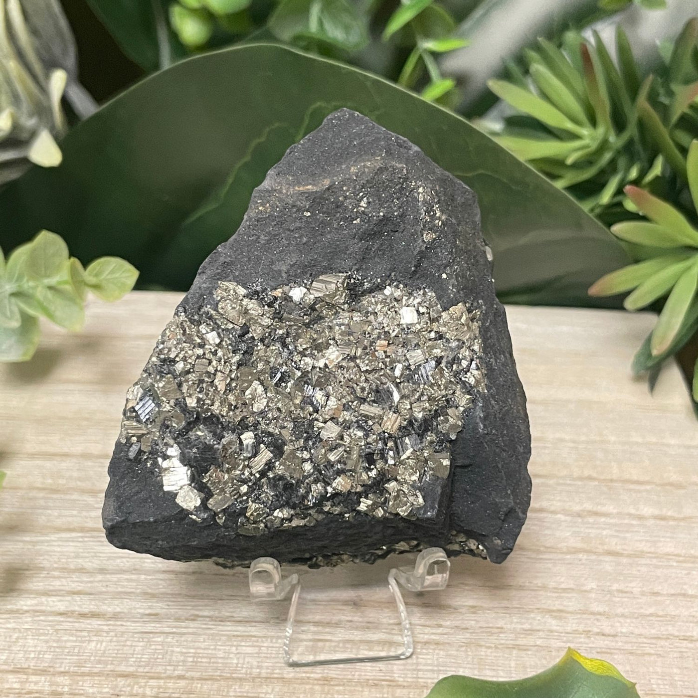 Pyrite on Shungite - Freeform