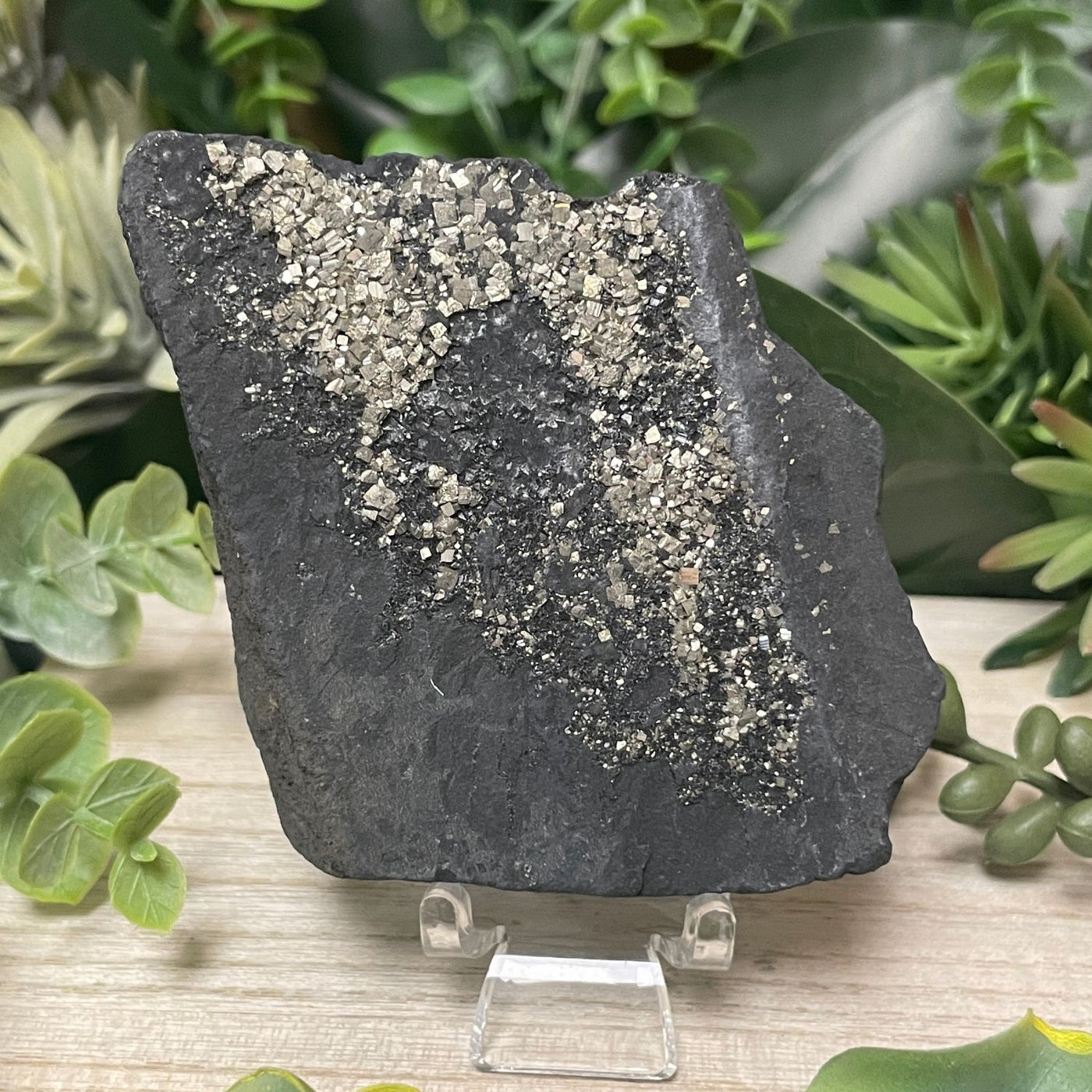 Pyrite on Shungite - Freeform