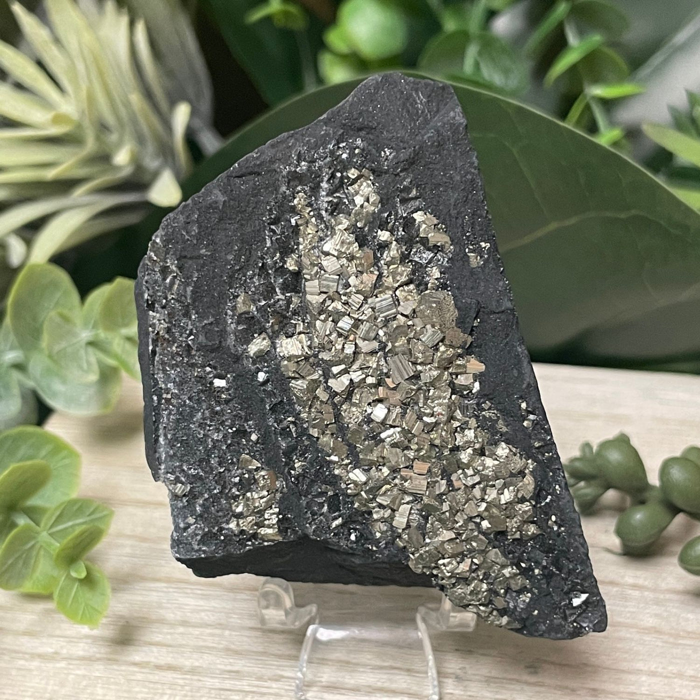 Pyrite on Shungite - Freeform