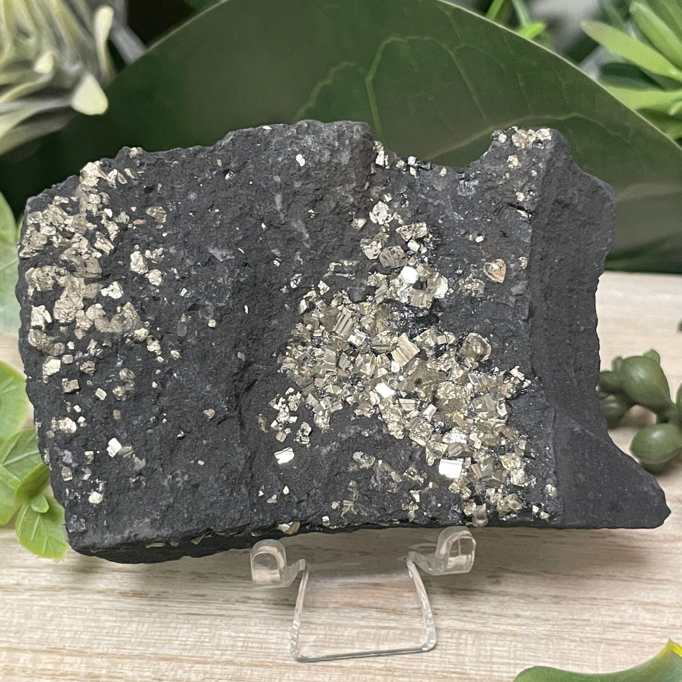Pyrite on Shungite - Freeform