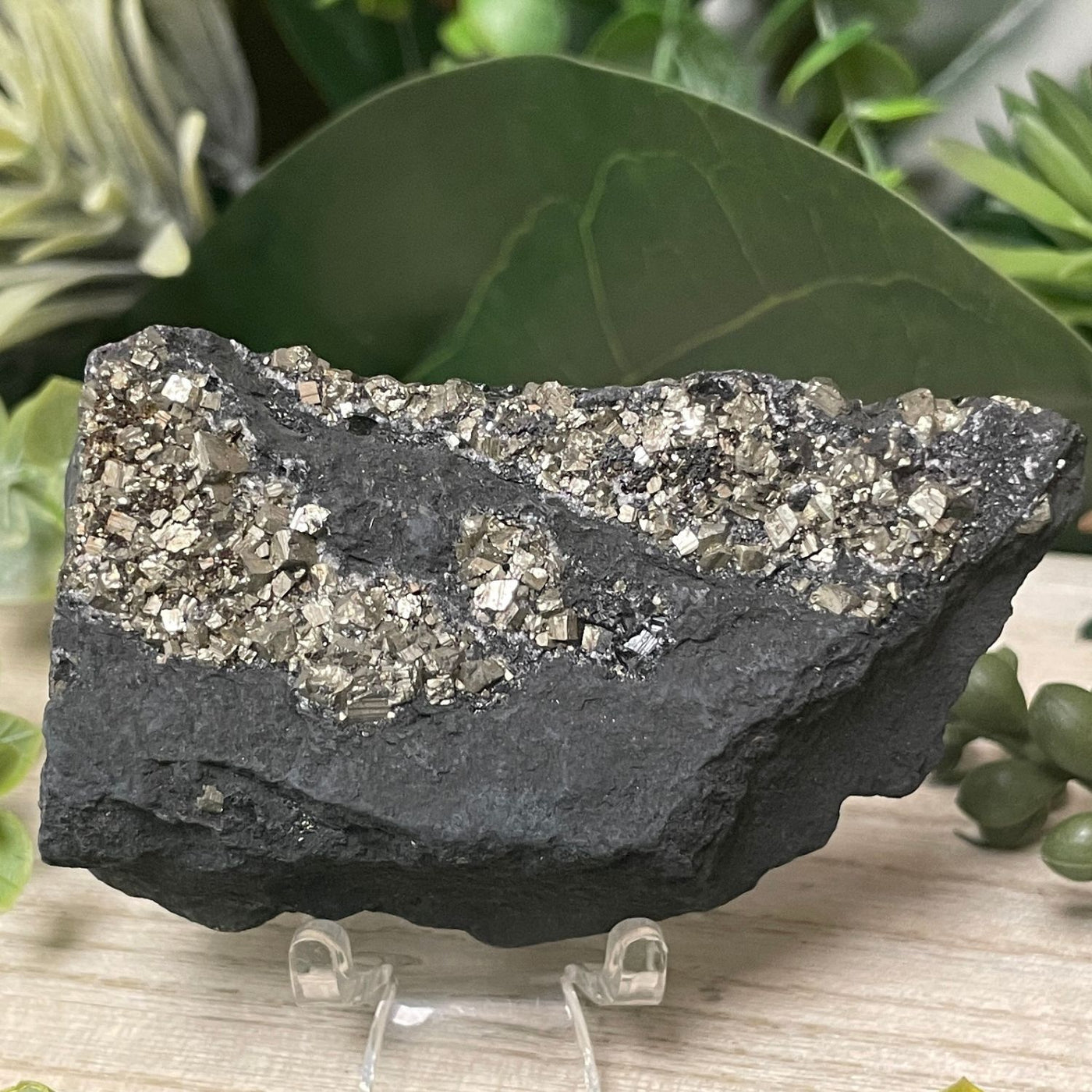 Pyrite on Shungite - Freeform
