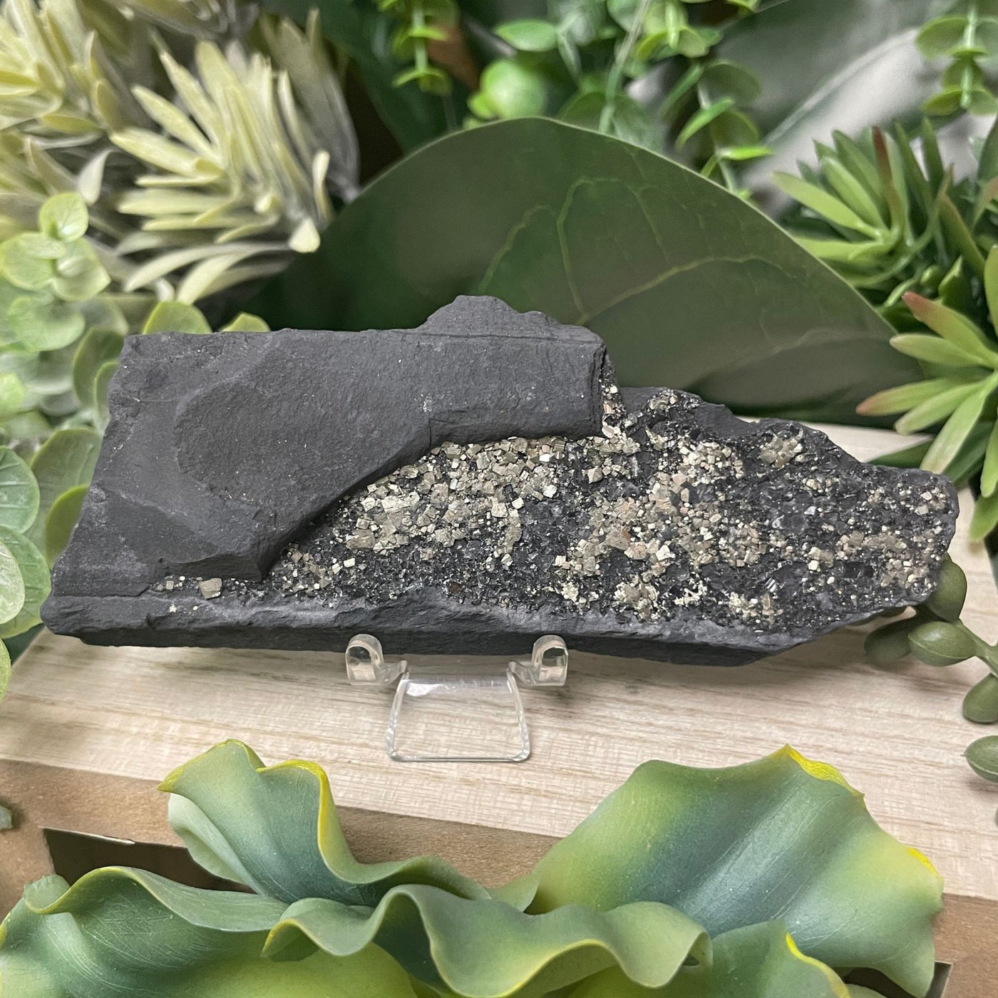 Pyrite on Shungite - Freeform