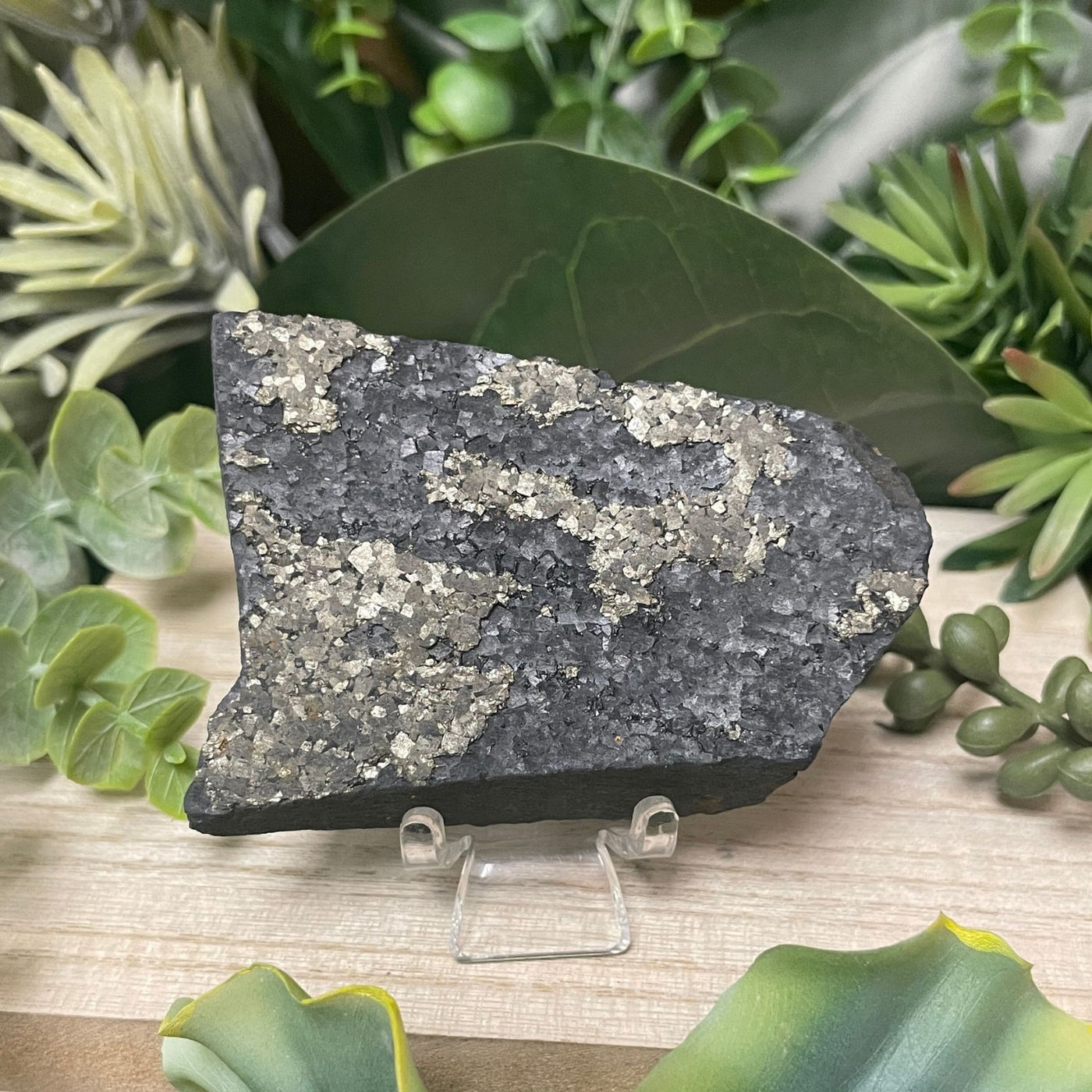 Pyrite on Shungite - Freeform