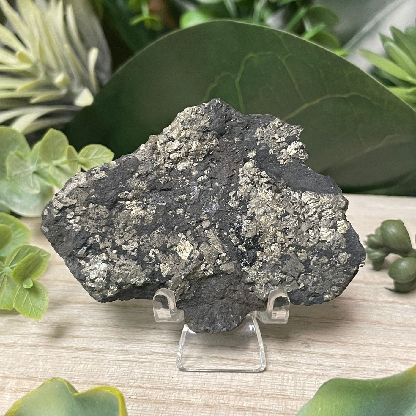 Pyrite on Shungite - Freeform