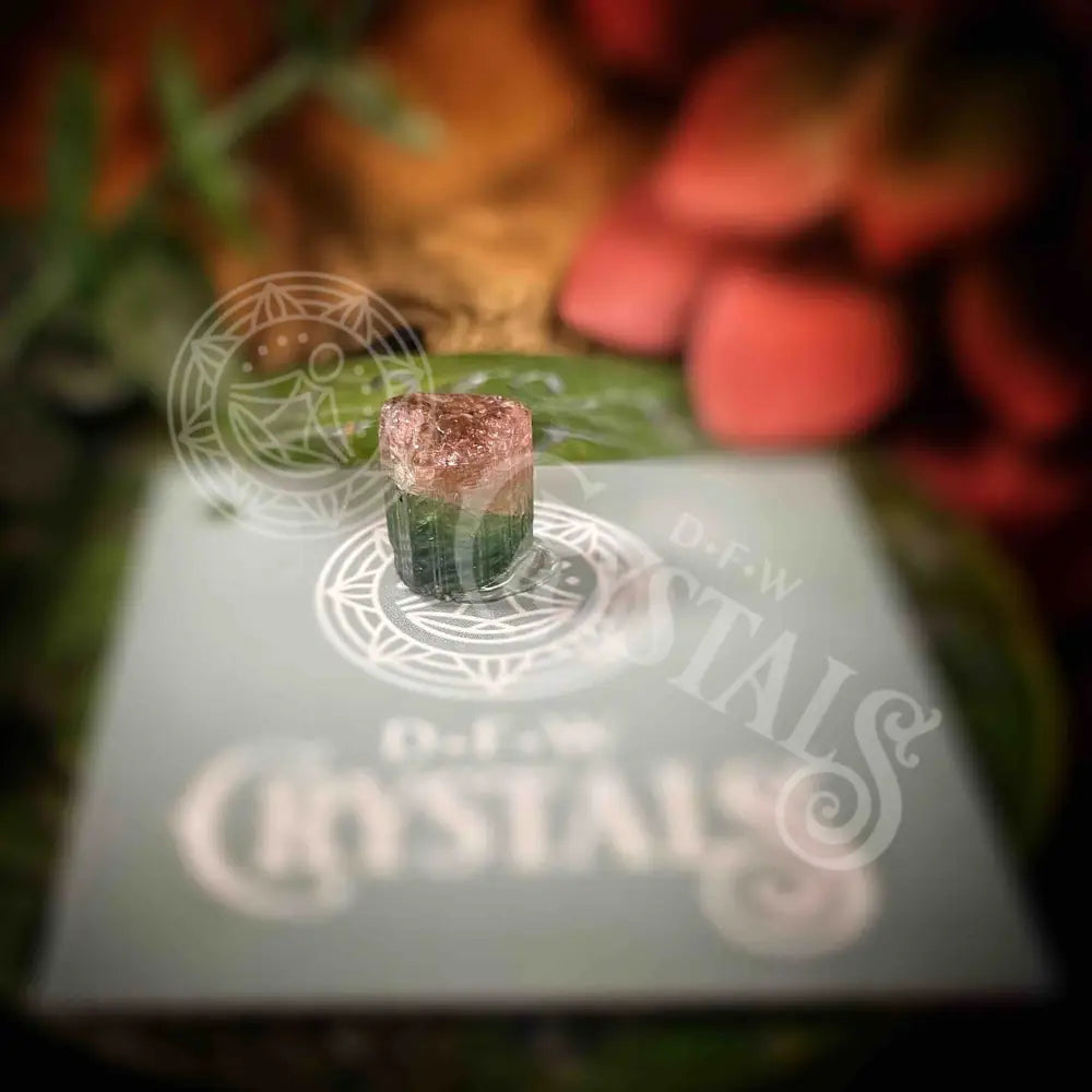 Watermelon Tourmaline - Y076 Crystals Specimens