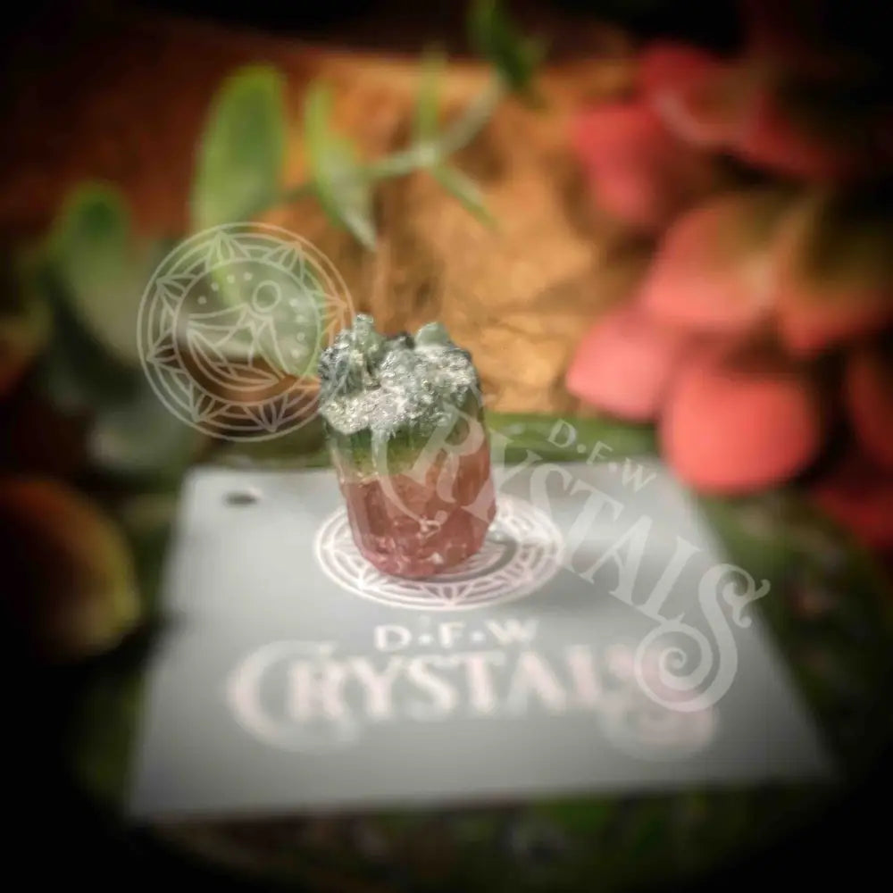 Watermelon Tourmaline - Y085 Crystals Specimens