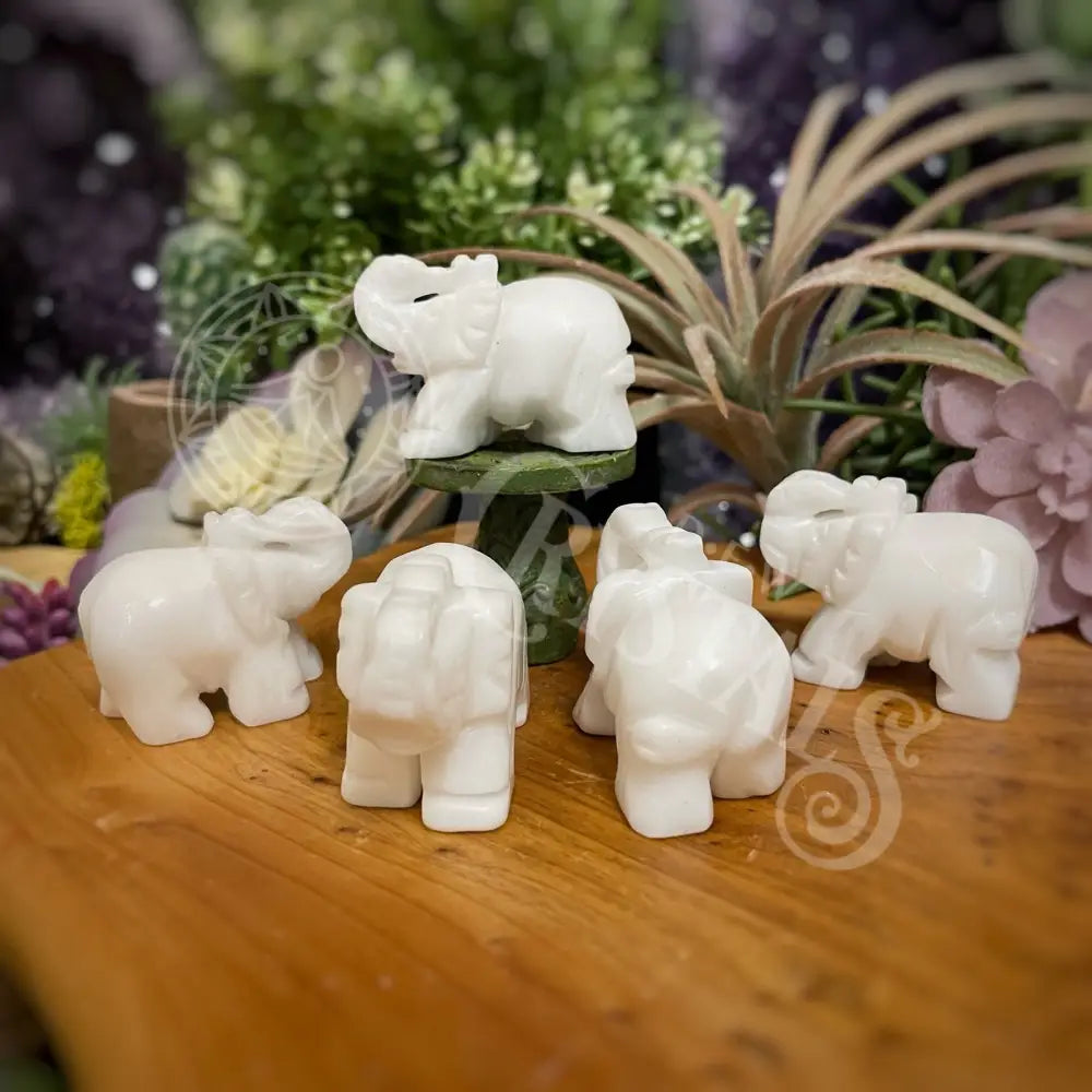 Animal - Elephant White Jade 2 Crystals Carvings