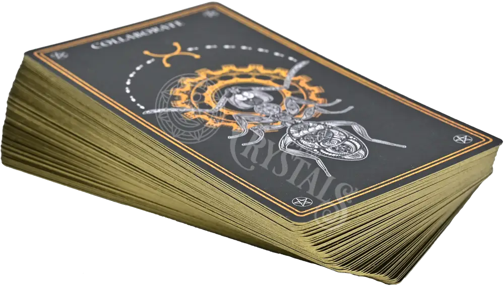 Wild Mystic Oracle Card Deck Decks -