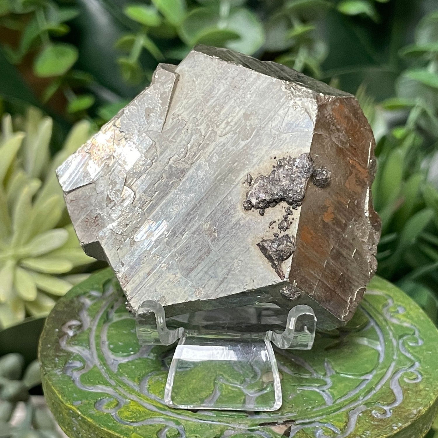 Pyrite - Free Form