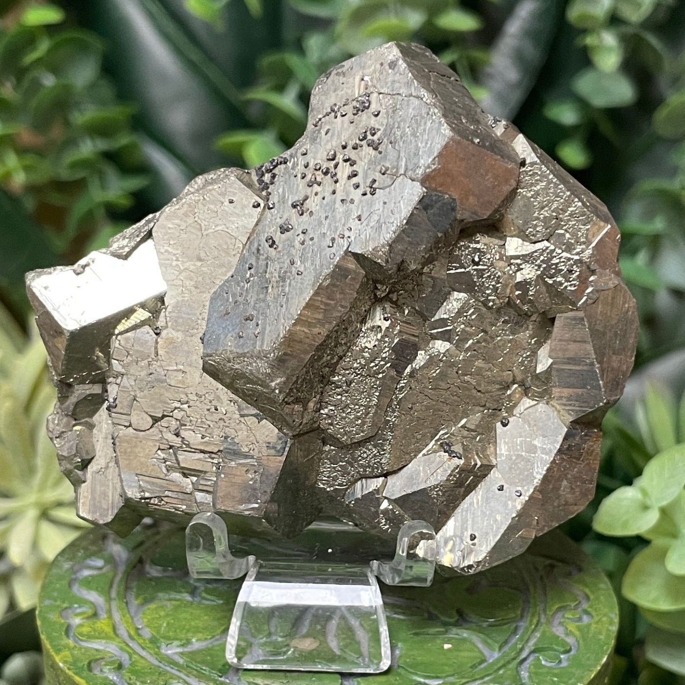 Pyrite - Free Form