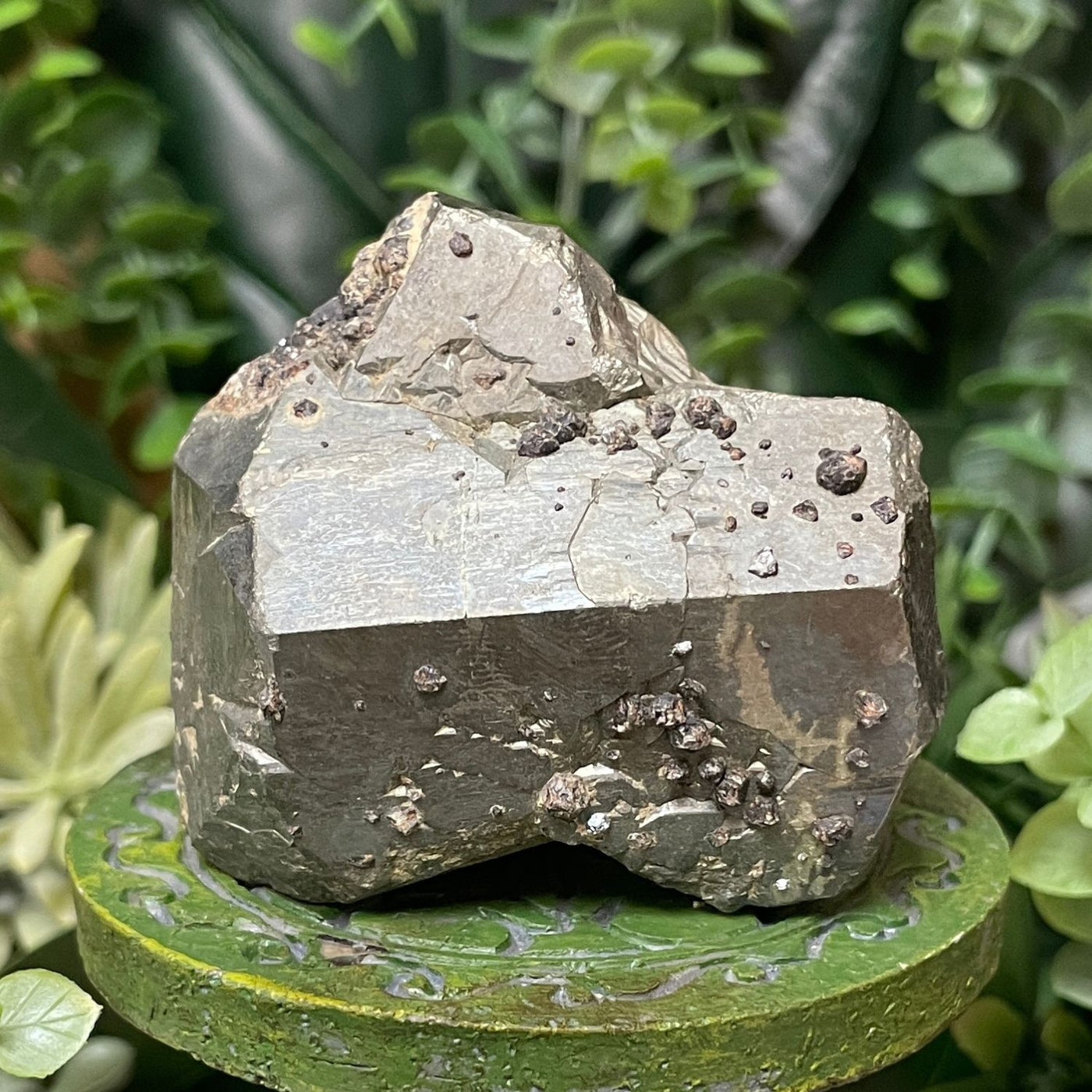 Pyrite - Free Form