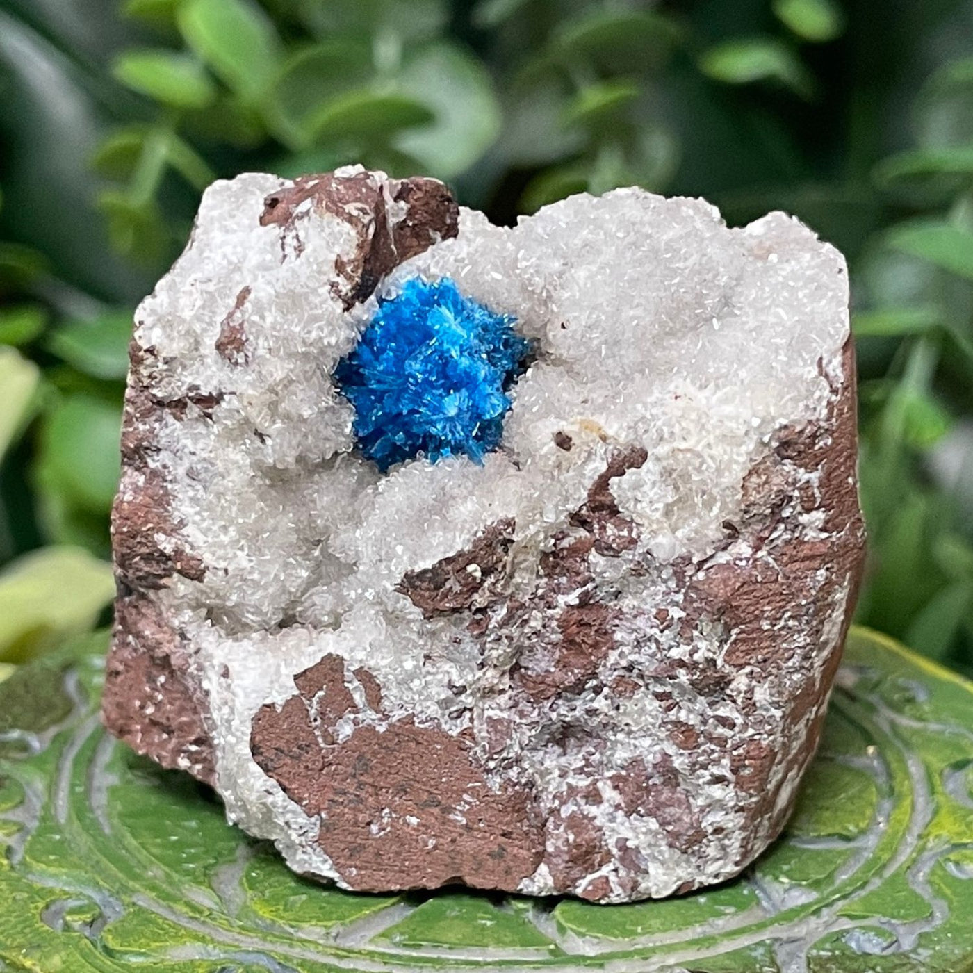 Canvansite - Free Form